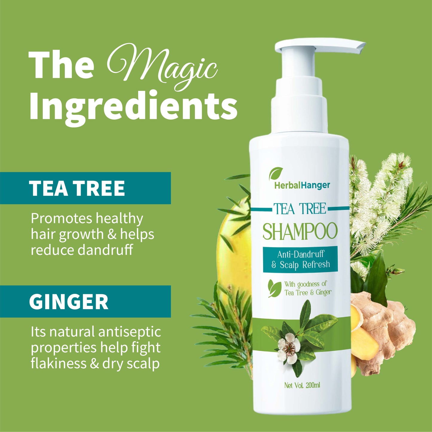 Tea Tree Shampoo - 200ml